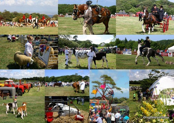 North Devon Farms tweet media