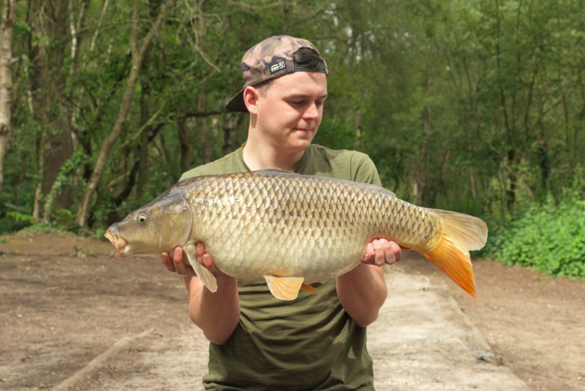 THE TACKLE STORE tweet media