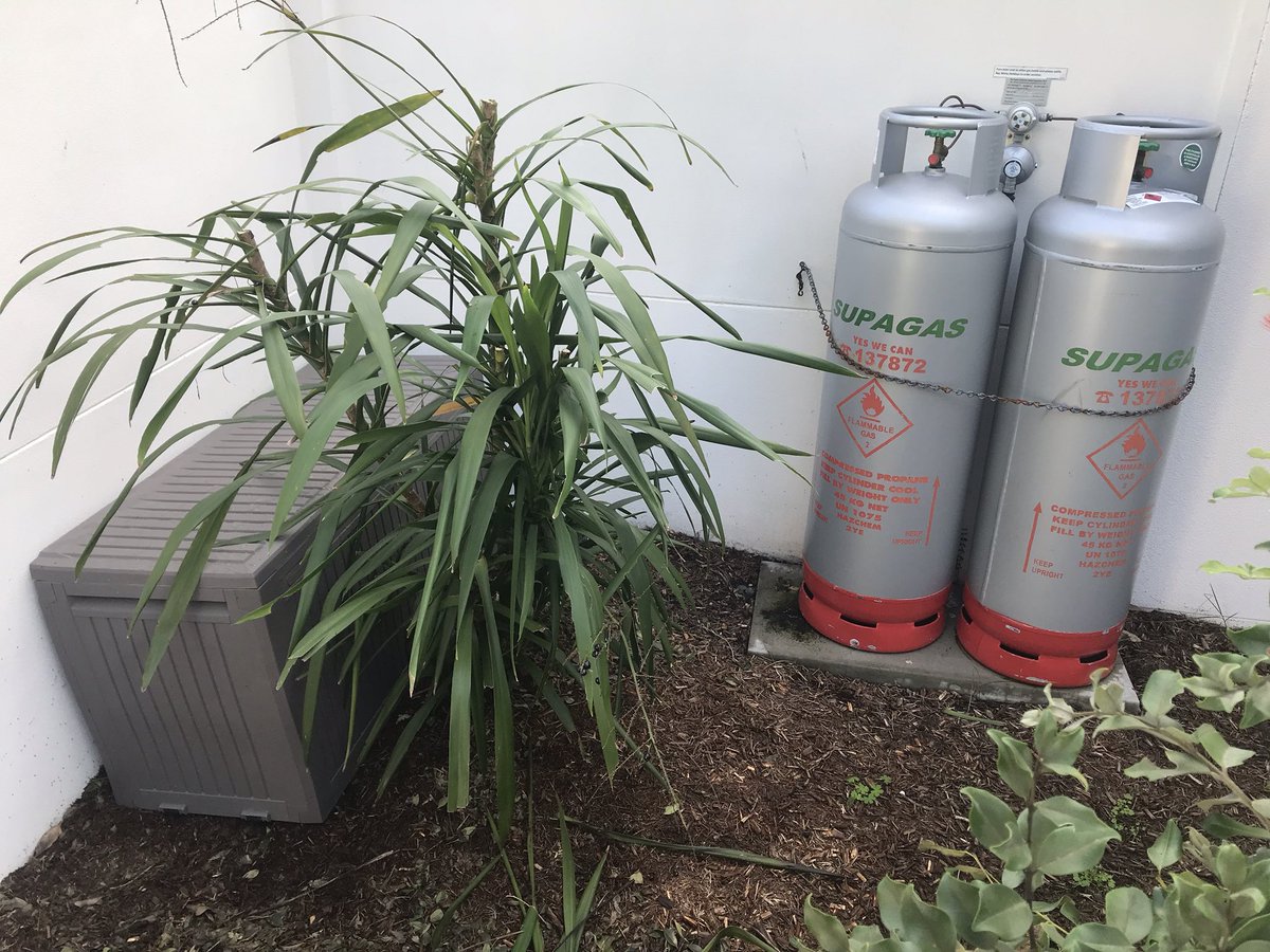 MATT KING tweet media