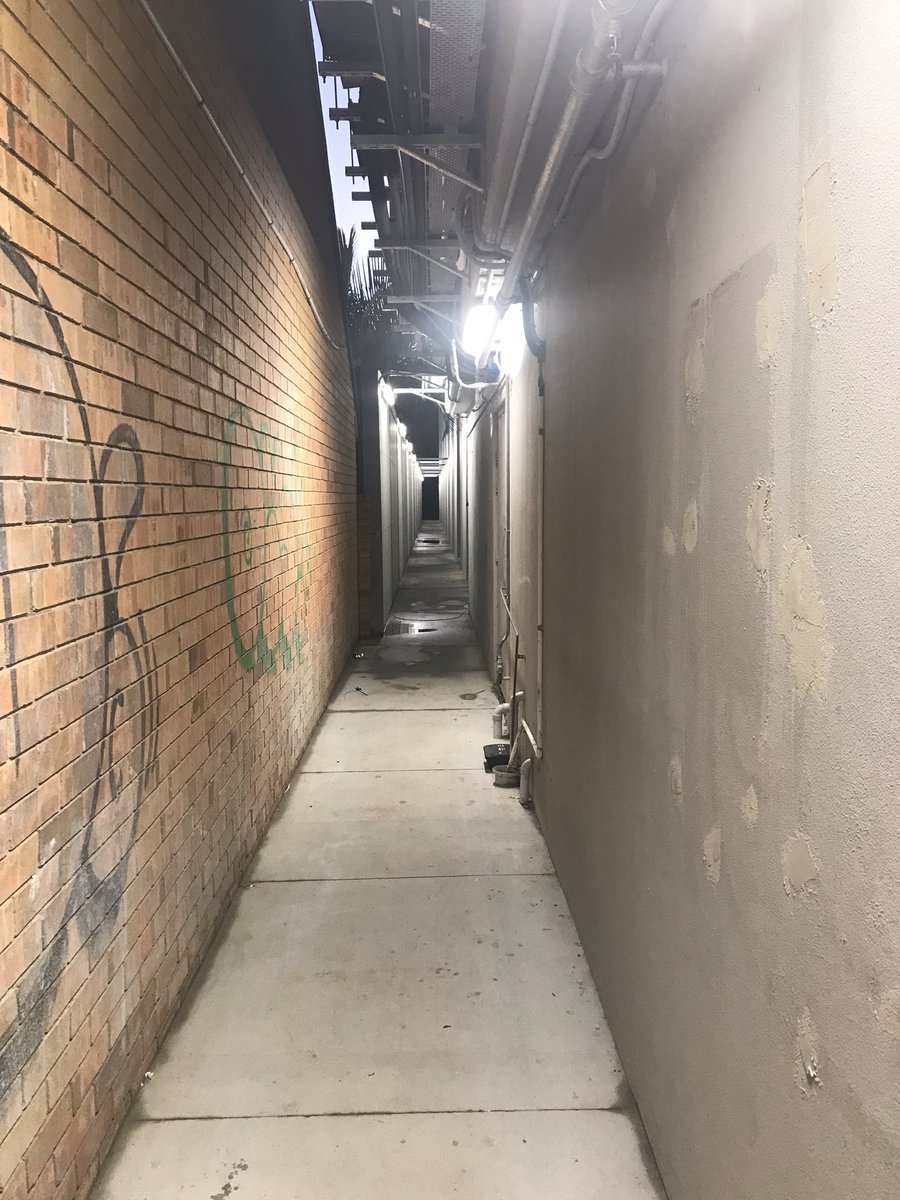 MATT KING tweet media