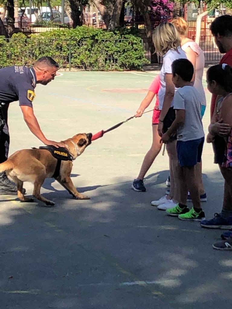 Babu_eventos's tweet photo. Hoy hemos tenido la increíble e inolvidable visita de la PATRULLA CANINA en nuestra ESCUELA DE VERANO!!! Gracias!👮‍♀️ 🐕 🐶 https://t.co/kTQU5ZdC9R