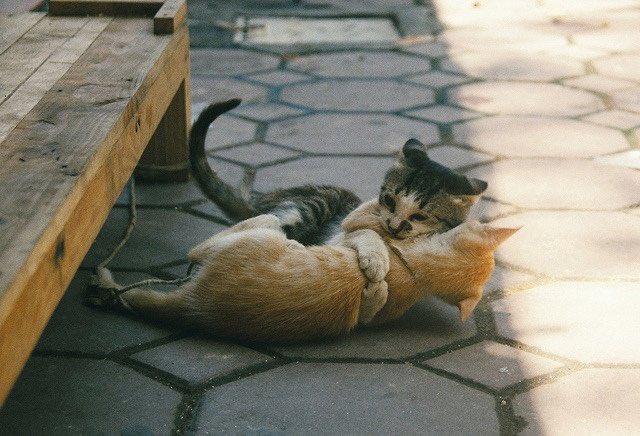 pictures (@pictures) on Twitter photo 