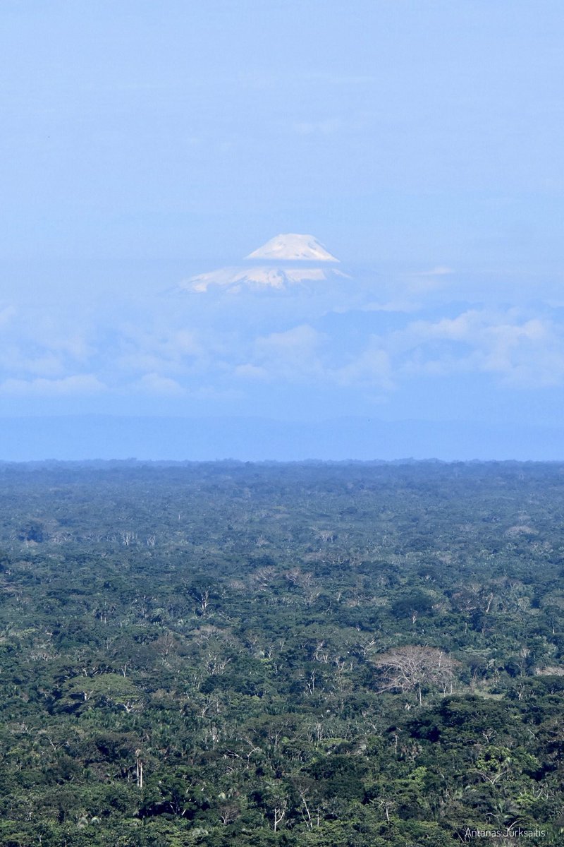AntanasJL's tweet photo. Así como cuando ves un volcán nevado en #Ecuador 🇪🇨 desde la selva amazónica en #Colombia 🇨🇴... ¡Así!

(Volcán Cayambe, visto desde Puerto Asís, Putumayo). https://t.co/nh7BeKYZhU