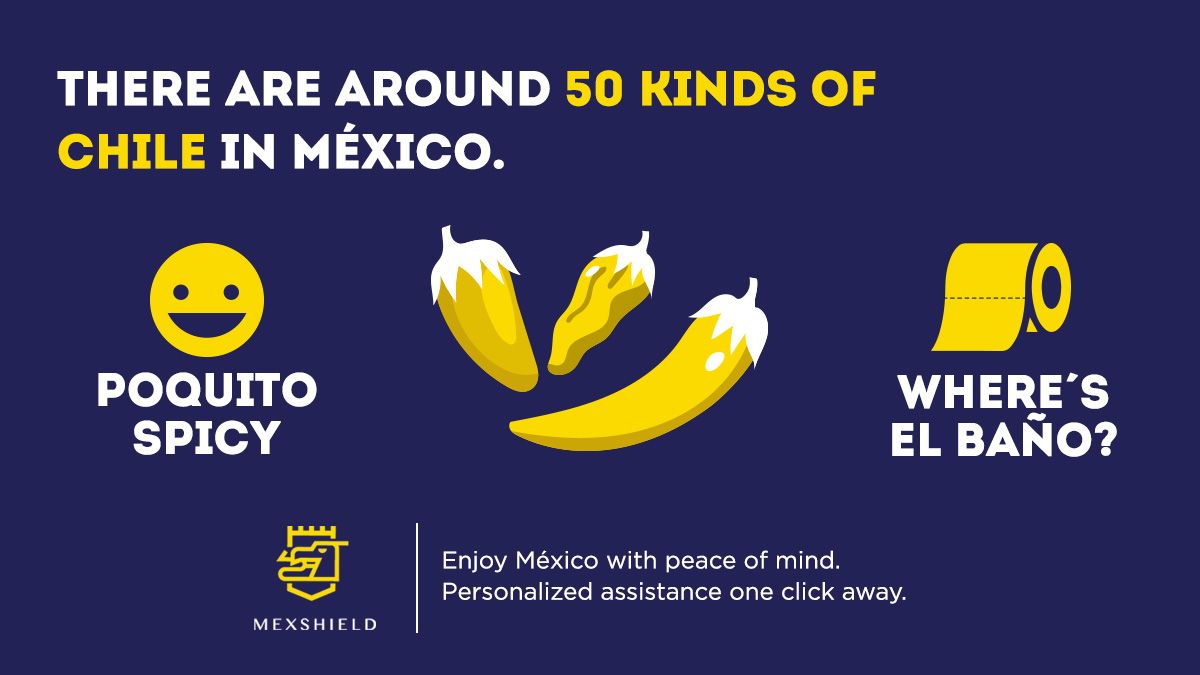MexShield's tweet photo. #MéxicoSpice101: There are over 50 kinds of #Chiles in #México, from POQUITO SPICY to OMG, WHERE'S EL BAÑO? Make sure to order accordingly.
#Mexshield https://t.co/zAdmARitHP