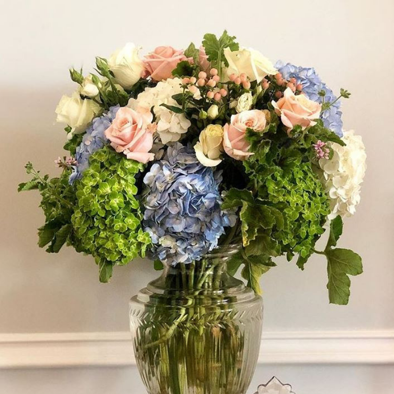 DonofrioLandsca's tweet photo. When colors are used in just the right way, flowers can bring out the best of our emotions. ππΈπ·π±ππ΄πΊπΎπ₯
#gardeners #mygarden #homegarden #gardeningisfun #growyourown #growyourownfood #gardenersofinstagram #instagardening #fruit #strawberries #strawberry #clearingtrees https://t.co/rjMkiWHhw2