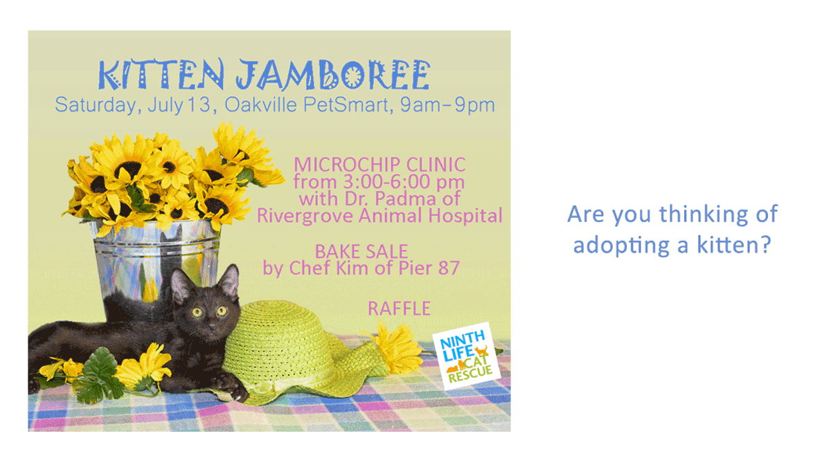 NinthLifeCR's tweet photo. Come join us for our microchip clinic with Dr.Padma and RiverGrove animal hospital. #rescue https://t.co/30LpiKQchH