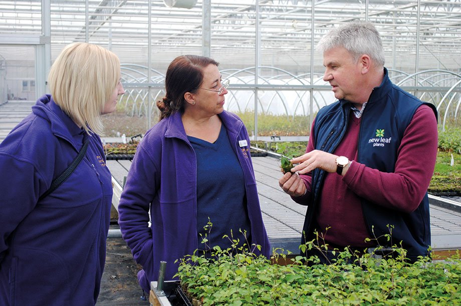 Many congratulations to New Leaf Plants, winner of #HWBusinessAwards 2019 Nursery Stock Grower of the Year award. Read about how the nursery excels and all of our outstanding 2019 Business Award Winners here: hortweek.com/business-awards 
<a href="/Newleafplants/">New Leaf Plants</a> <a href="/ICL_Gro/">ICL Professional Horticulture</a> @HortweekAwards