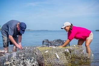 .<a href="/RitzCarlton/">The Ritz-Carlton</a> #Amelia Island is partnering with The St. Mary's RiverKeeper to create a living shoreline in #FernandinaBeach, Florida. The Ladies and Gentlemen set recycled crab traps to form new oyster beds. The beds deter shore erosion and naturally clean the river. #Serve360