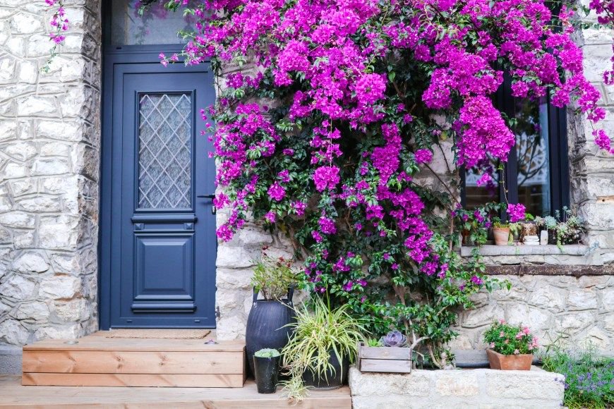 Nouvel article ! Bienvenue dans mon jardin tribulationsdanais.com/bienvenue-dans…