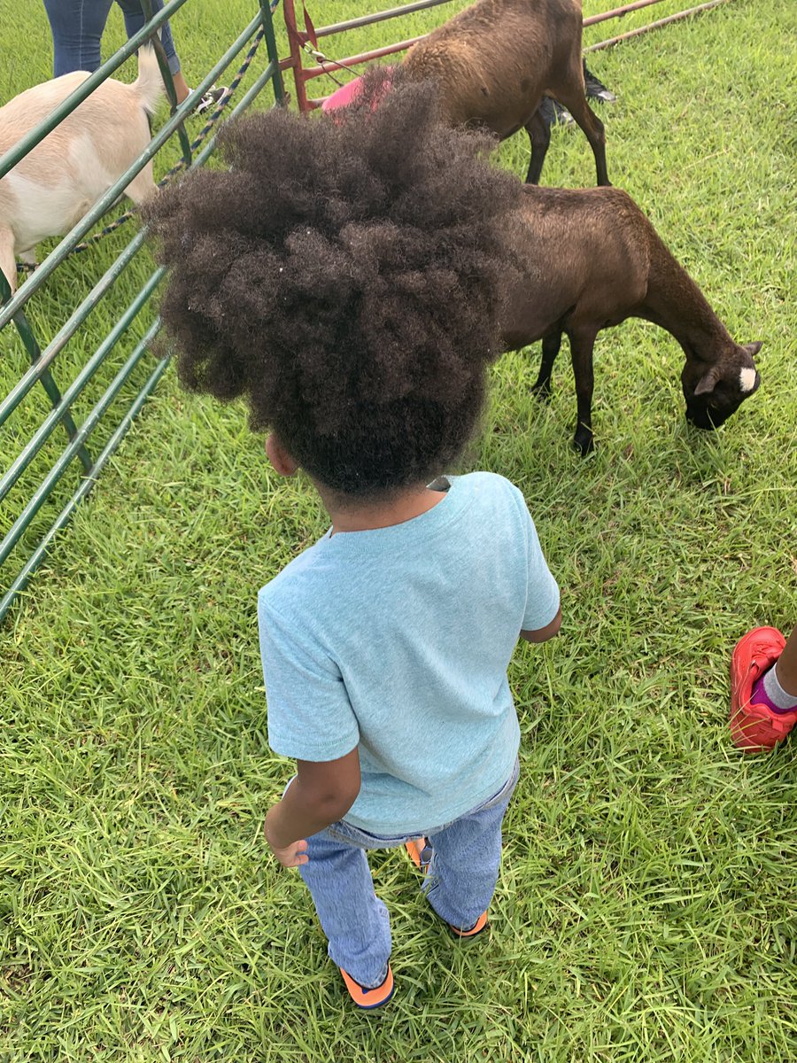 jasmine_curry2's tweet image. EJC Farms Petting Zoo at Smith Neighborhood @houstonlibrary. Kids enjoyed making crafts and interacting with animals. #houstonforfree #houstonlibrary #3rdward #Thirdward #workingmom #teachermom