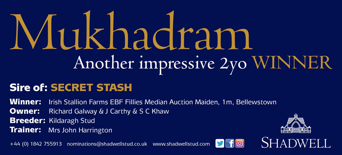 SHADWELL (@shadwell_eu) on Twitter photo Could Secret Stash be a stakes winner in waiting?! The #MUKHADRAM filly, who is trained by <a href="/Jessica_Racing/">Jessica Harrington</a>, looks destined for bigger things following an eye-catching success <a href="/BellewstownRace/">Bellewstown Races</a>. #SireOnFire π₯ #SireSonOfShamardal Could Secret Stash be a stakes winner in waiting?! The #MUKHADRAM filly, who is trained by <a href="/Jessica_Racing/">Jessica Harrington</a>, looks destined for bigger things following an eye-catching success <a href="/BellewstownRace/">Bellewstown Races</a>. #SireOnFire π₯ #SireSonOfShamardal