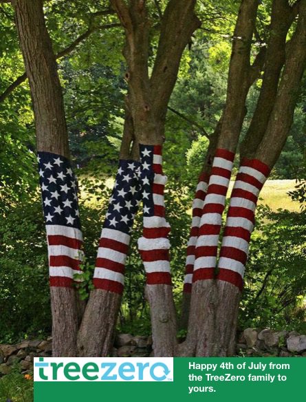 Be proud and salute all those brave warriors who fought for the freedom of our country. Everyone from the TreeZero family wishes you a safe and happy fourth of July.🇺🇸#4thofjuly #staygreenandproud #saluteourtroops #freedom