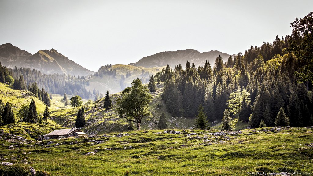 MySwitzerland_d's tweet photo. #Wandertipp: Taucht ein in eine faszinierende #Urlandschaft &amp; lasst die Seele in einer #Alpbeiz auf dem #Breccaschlund #Panoramaweg @fribourgregion baumeln. https://t.co/1lGJTZIVhR https://t.co/wbPTdpKiZp