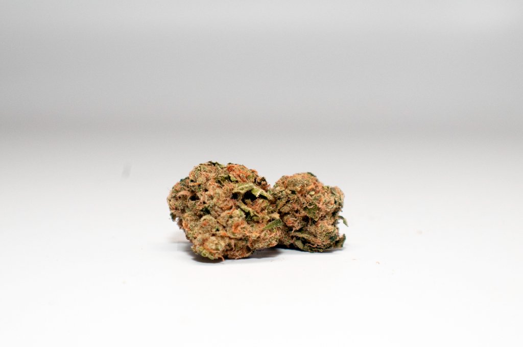 TheFarmCo's tweet photo. Celebrating our #FreedomToConsume 💨 with #AmericanGothic 🇺🇸
•
•
This #Sativa #Hybrid of #ChemsSis and #ScottsOG typically provides functional &amp; clearheaded energy --- perfect for enjoying a #4thOfJuly #BBQ 👨‍🍳🍔🥩
•
🌳🔥💨🧠😁
#StrainOfTheWeek #DemocracyDoobies #FreedomFlight https://t.co/AKtYczIu01