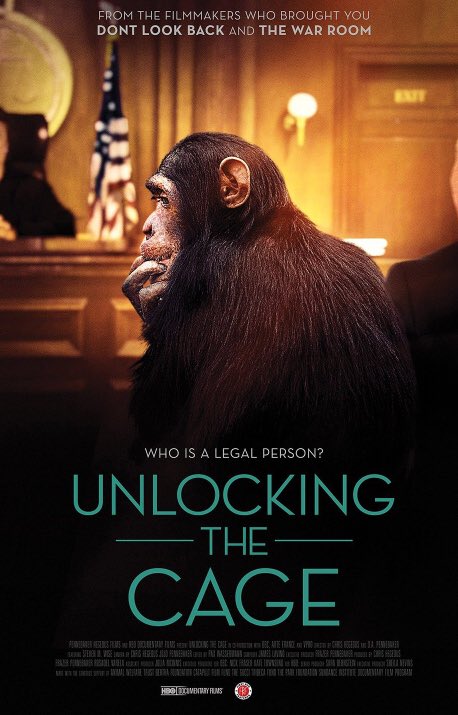 Seattle Friday! Meet @NonhumanRights Atty Steve Wise & watch @UTCFilm Unlocking the Cage. Free! Steve will be featured in our Corky doc & he’s in @longgonewild too! 
meaningfulmovies.org/events/unlocki… @narntweet