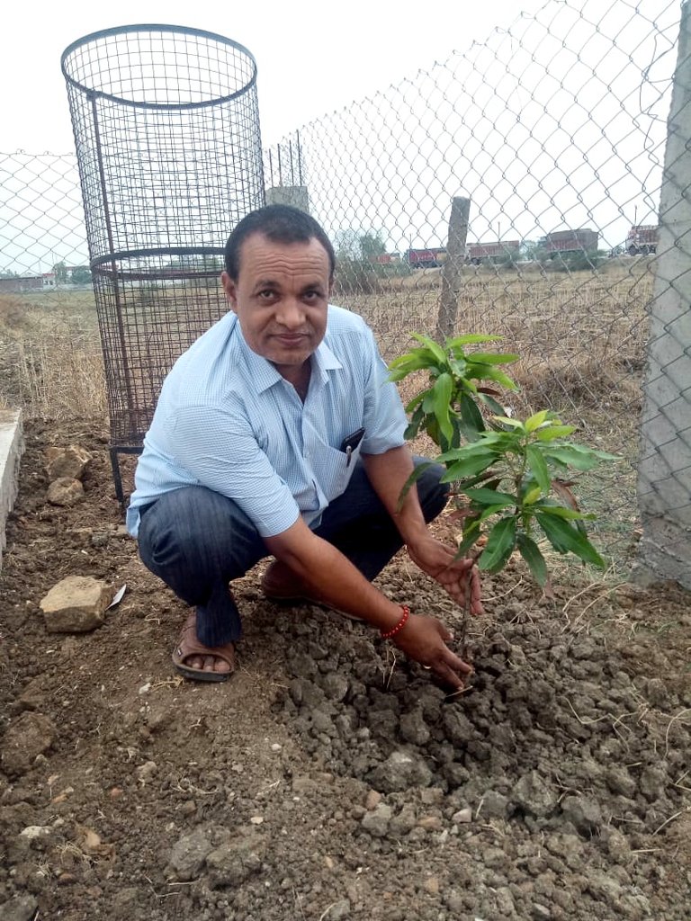 BPCLAllahabad's tweet photo. #green_environment #SwachhataPakhwada अंबिका भारत गैस , जिला प्रयागराज के द्वारा स्वच्छता पखवाड़ा पर वृक्षारोपण @BPCLimited @PeethambarantT @singharunbpcl @time3027 @kailash2910kn @ISrinivasRao2 https://t.co/MTGo40i7Tl