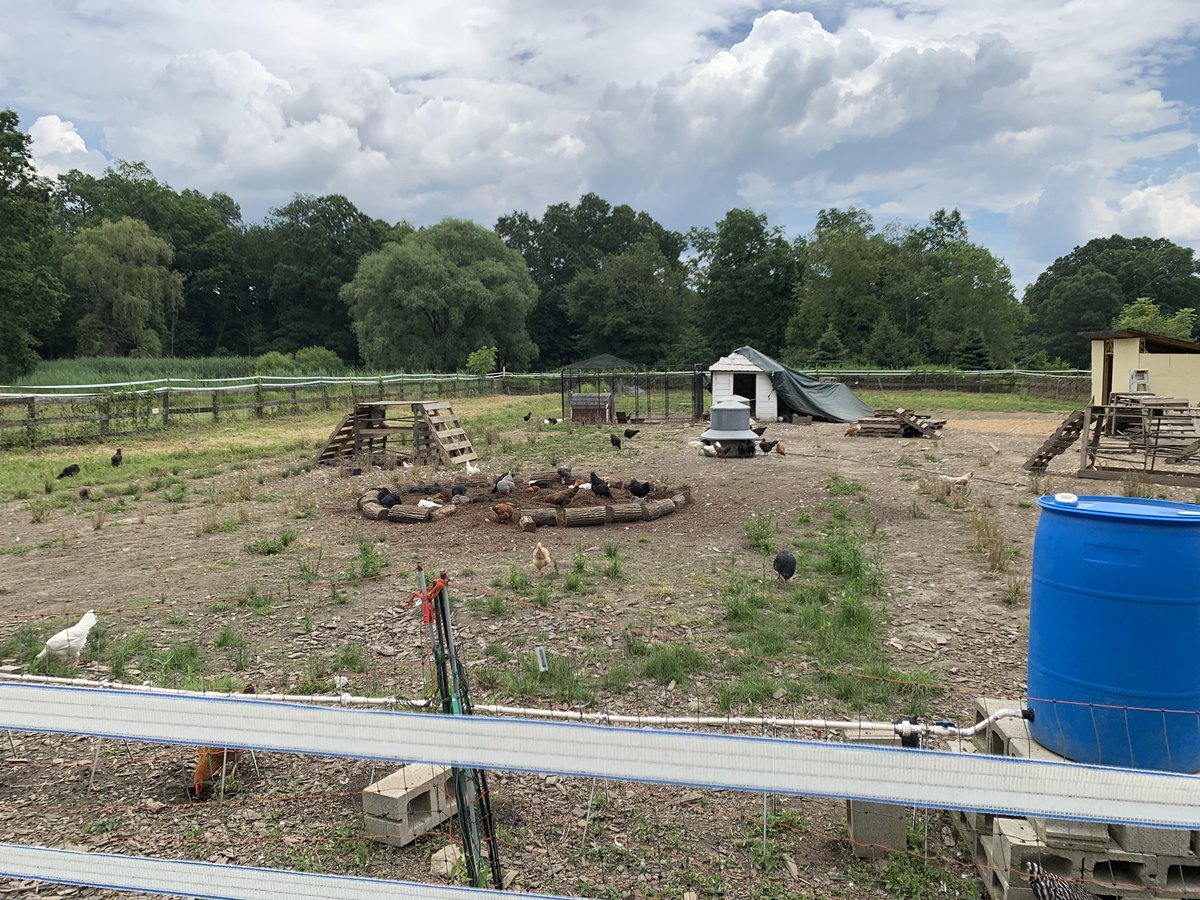 TarrySup's tweet image. Exploring options for learning in our backyard.   @OssiningSchools more to come.   #communityschools #extendedlearning