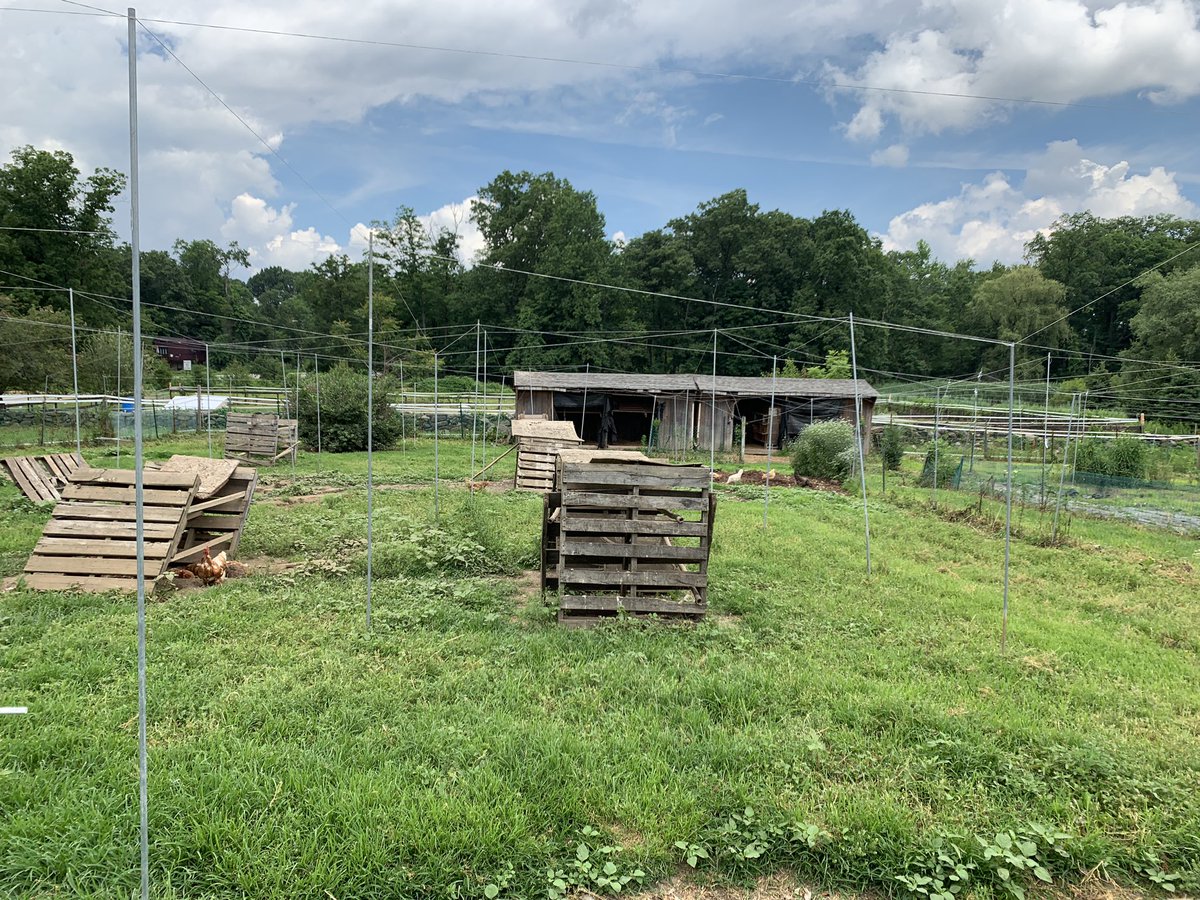 TarrySup's tweet image. Exploring options for learning in our backyard.   @OssiningSchools more to come.   #communityschools #extendedlearning