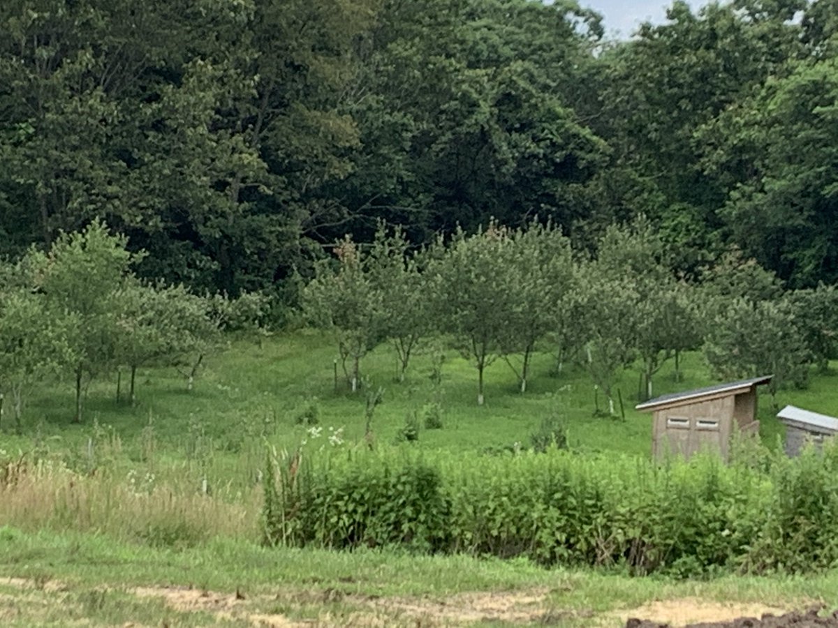 TarrySup's tweet image. Exploring options for learning in our backyard.   @OssiningSchools more to come.   #communityschools #extendedlearning