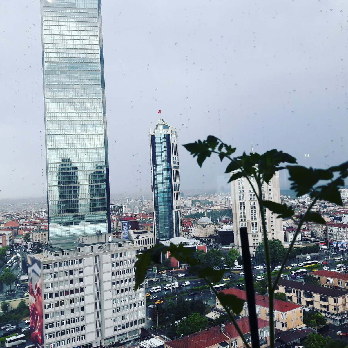 Onca plaza ve bina manzarası eşliğinde hala çiçek yetiştiriyor olmak doğaya hasretten midir?
#çiçek #modernite #blog