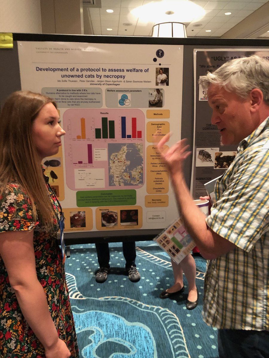 PeterSandoee's tweet photo. Ida Thuesen at @ISAZ2019 presenting her poster on using necropsies to assess welfare of feral cats in Denmark to @BERNARDUNTI https://t.co/fwsiarQ4XA