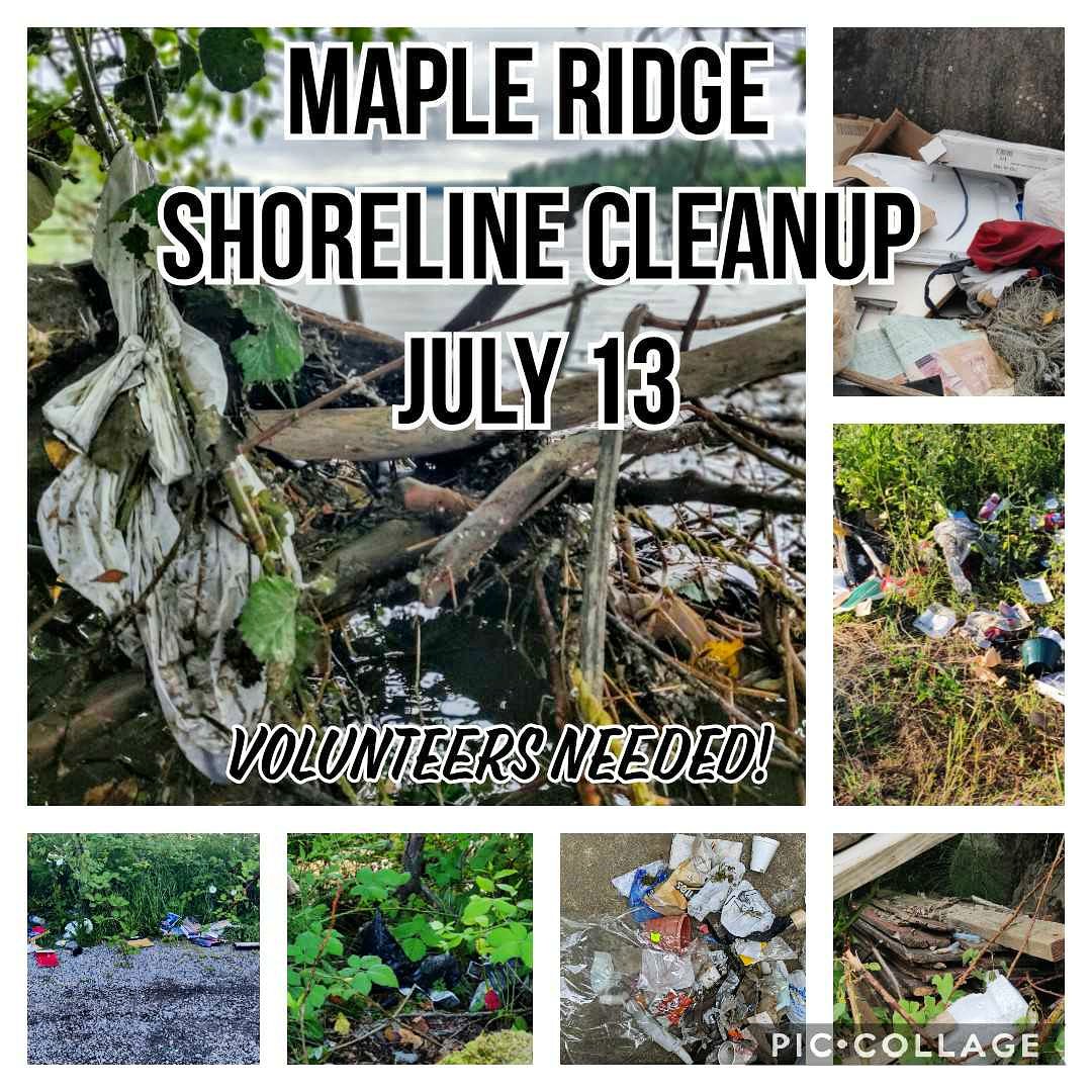 This is our backyard. Please come help us clean up our Fraser River Shorelines before this plastic trash is fed to our local Salmon and Orcas! Plasticbattle.ca to sign up!
