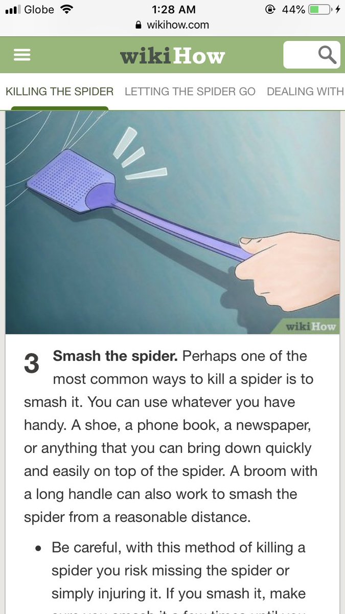 i am BLAMELESS with the fly swatter idea oKAY  I THOUGHT IT WIKIHOW WAS SUPPOSED TO BE RELIABLE