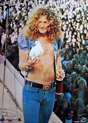 crockpics's tweet image. Robert Plant holding a dove that flew into his hands during a concert, 1973. #LedZeppelin #RobertPlant