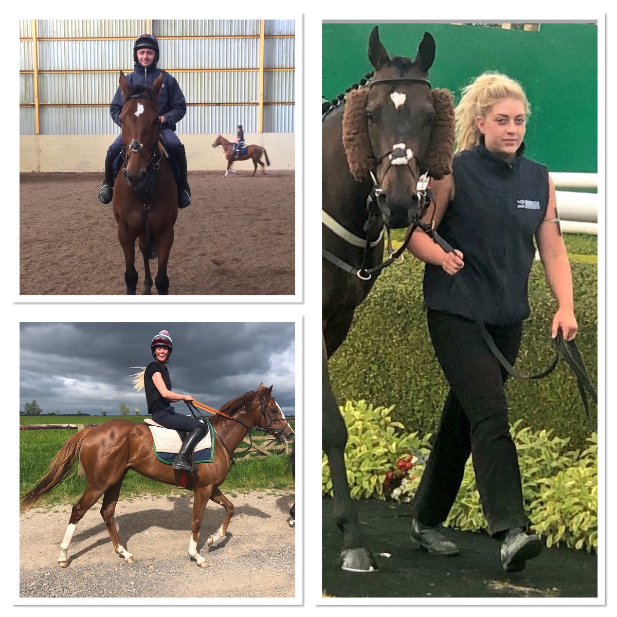 PremierRacing2's tweet photo. Thanks to this wonderful lot for working hard to look after our horses so well in all weather. I don’t have photos of everyone who comes in but we thank you all just the same. We appreciate it every week but only right we say it loud and clear during #RacingStaffWeek #ThankYouAll https://t.co/vVYDeFG3Uj