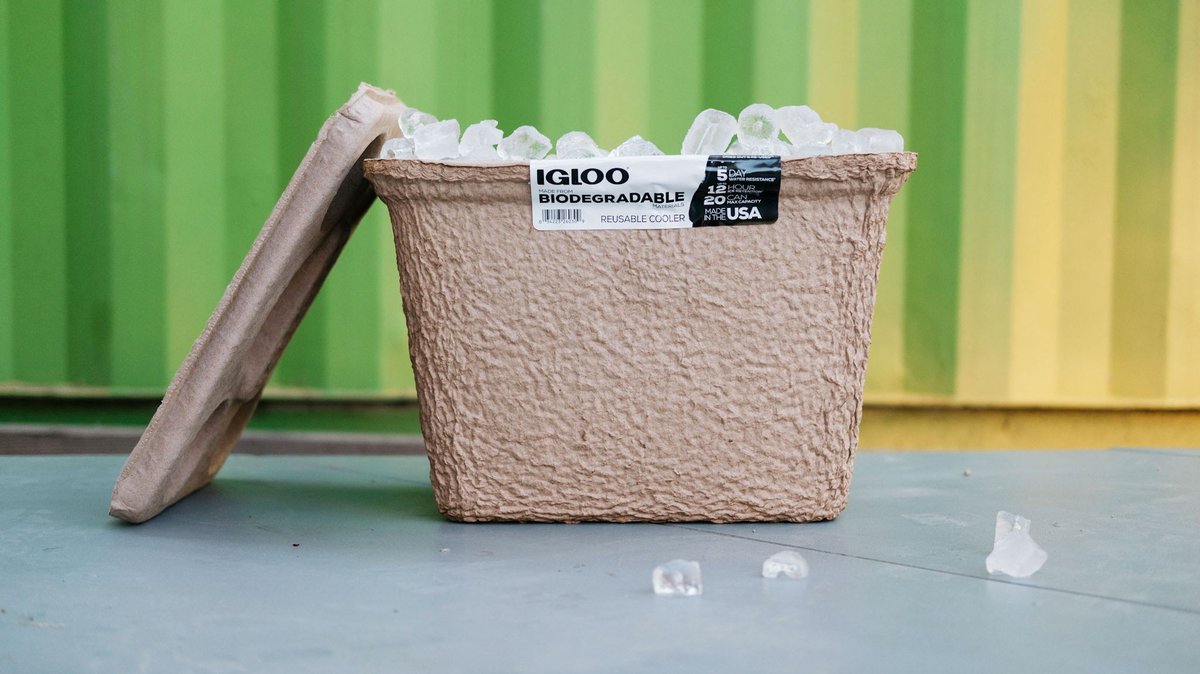 Having a picnic or BBQ this 4th? Use the RECOOL by Igloo! Once the cooler is no longer usable, it can be recycled or composted. It can also be used as a dry storage tote as well. #igloo #betteralternative #saygoodbyetostyrofoam #nostyrofoam ow.ly/GQyz50uNGhQ