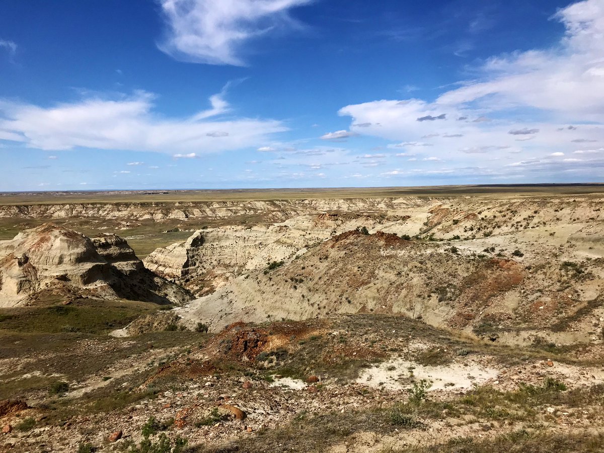 DavidEvans_ROM's tweet photo. So nice to be back in the field for Southern Alberta Dinosaur Project field season # 16. Lots to do, incl. excavation of a Centrosaurus skull & Prosaurolophus skeleton. Follow along #SADP2019 @ROMtoronto @UofT_Palaeo https://t.co/gjQNMPc5Ax