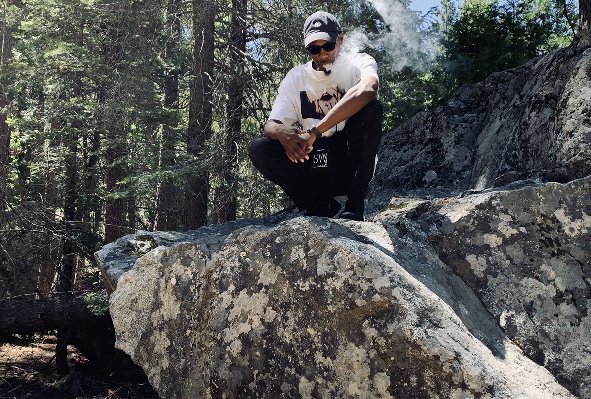 🌲 #seeweed #seeweedapparel #seeweedcult #clothingline #clothingbrand #streetwear #streetwearbrand #fashion #photography