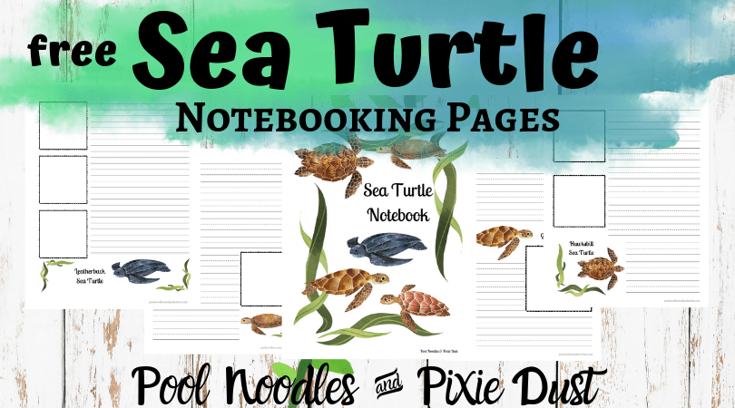 Free Sea Turtle Notebooking Pages poolnoodlesandpixiedust.com/free-sea-turtl…
