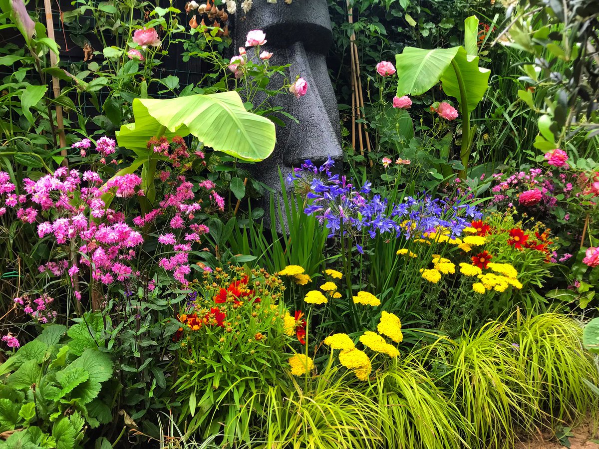 RossleeGardener's tweet photo. Some photos from around the garden! Feeling ready for my open day now! @NGSOpenGardens @SuffolkNGS https://t.co/nQgEUVyiqR