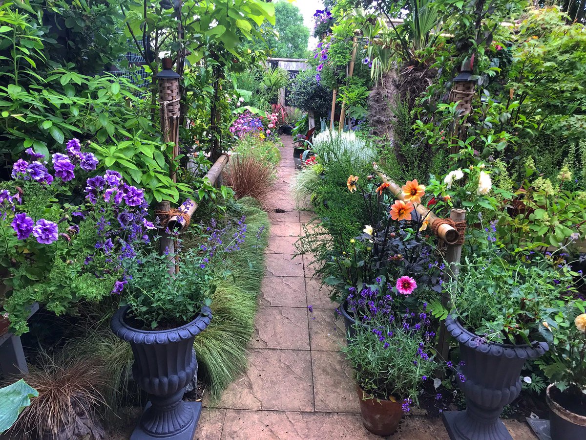 RossleeGardener's tweet photo. Some photos from around the garden! Feeling ready for my open day now! @NGSOpenGardens @SuffolkNGS https://t.co/nQgEUVyiqR