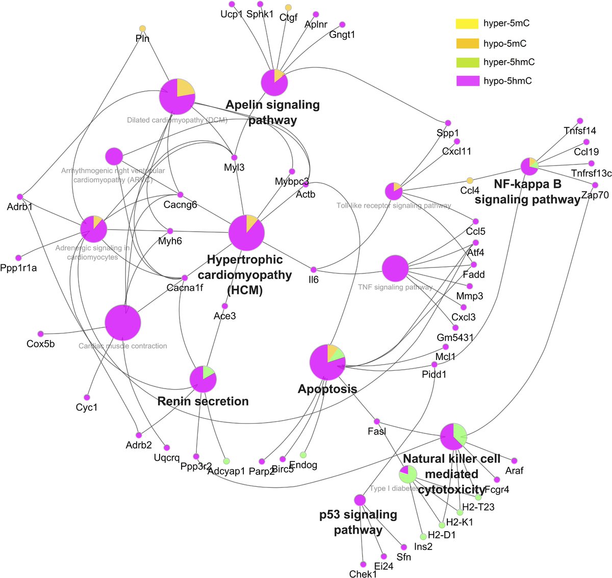 ajpheartcirc's tweet photo. Association of intronic DNA methylation and hydroxymethylation alterations in the epigenetic etiology of dilated cardiomyopathy
https://t.co/luOktb6qTE
@UCHealthNews
#DNA #epignetics #dilatedcardiomyopathy https://t.co/r5k4mW2jgz