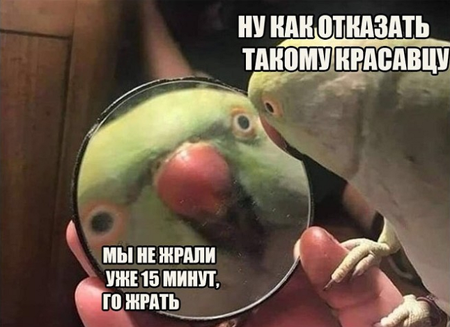 Ужасные мемы (@so_mad_so_funny) on Twitter photo 