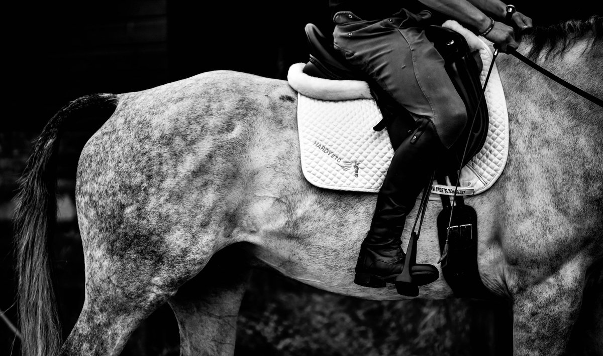 Good evening #malvernhillshour I have actually made it! I have had a fairly hectic few weeks but normality is slowly returning.