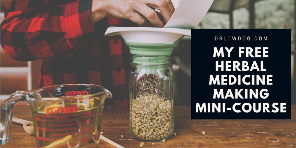 Tieraona Low Dog, MD tweet media