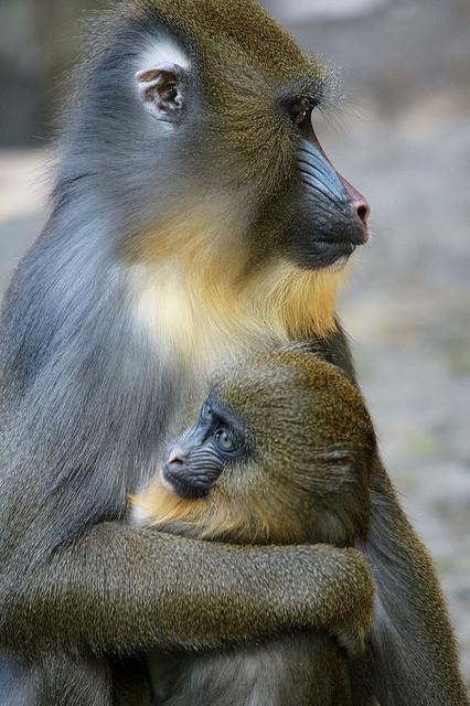 Mother and kid ecs.page.link/xdRq