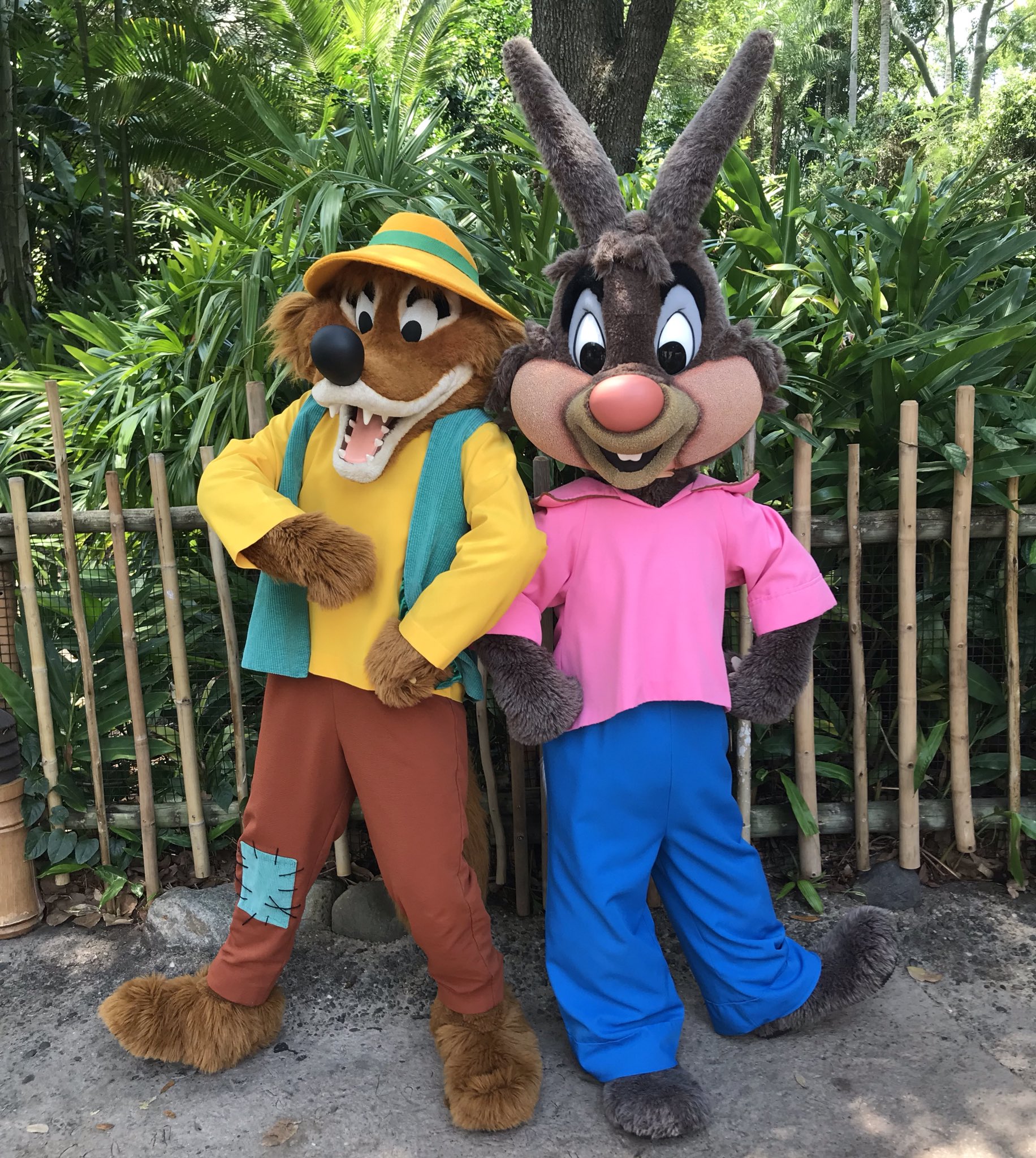 360 Of Disney Brerrabbit And Brerfox Are At Disneysanimalkingdom Today Dak Animalkingdom Wdw Waltdisneyworld Songofthesouth Splashmountain ブレア ラビット ブレア フォックス T Co Utua8g0kn8 Twitter
