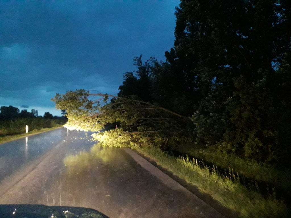 Jak vjetar srušio stablo u Đelekovcu (kod Koprivnice)

foto: Podravski.hr