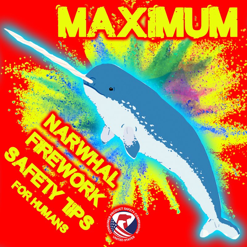 A narwhal. The text reads: maximum narwhal firework safety tips for humans