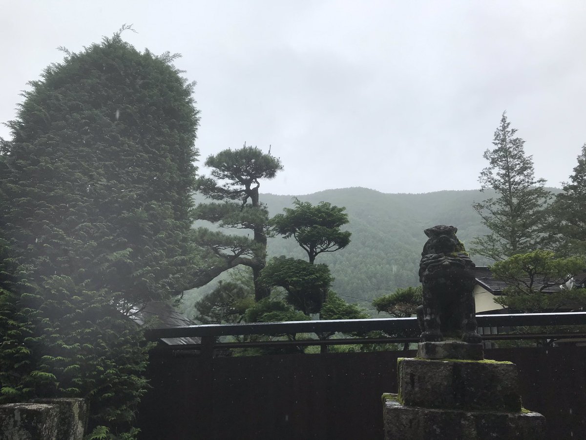 And a Shinto temple visit   #PearlTakesJapan