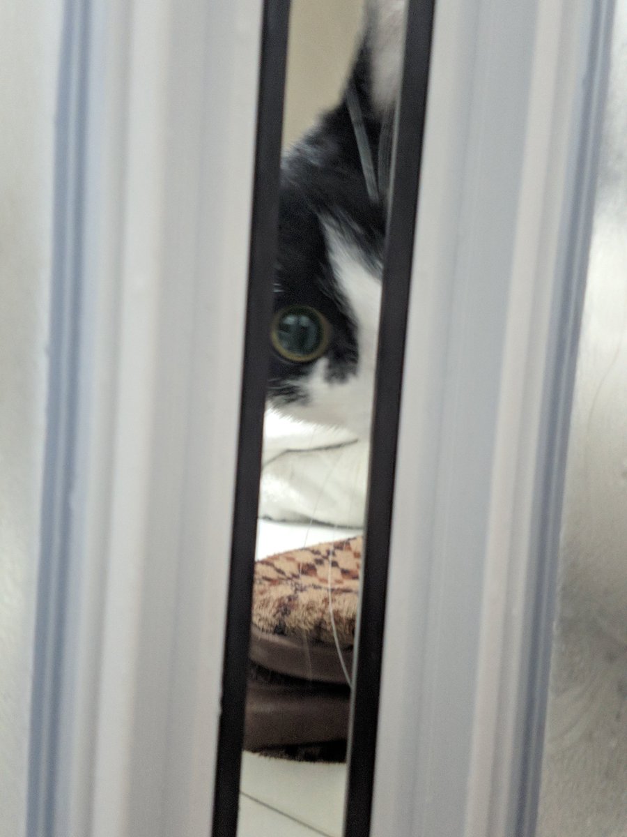 İnstagramdan gelen kitleyi izliyorum #çöktü