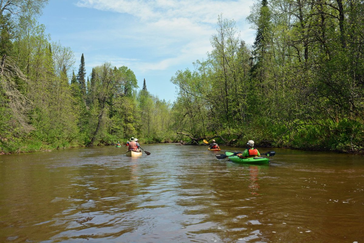 SierraClubWI's tweet photo. Celebrating July 4 at your favorite Wisconsin State Park? Snap a photo of your state park and share it on social media at #WiLovesParks. Tag your legislator and state park and show them how much you care!
https://t.co/h2c8UpXoh7 https://t.co/6v1u80AZ65