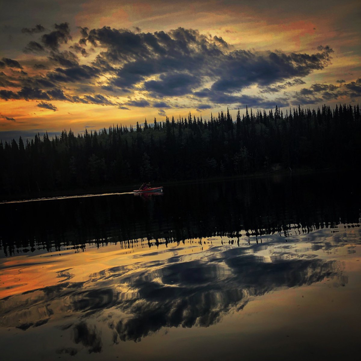 Love this time of year in the #cityofpg. Kayaking conditions, even at 10:30pm, are beyond optimal.