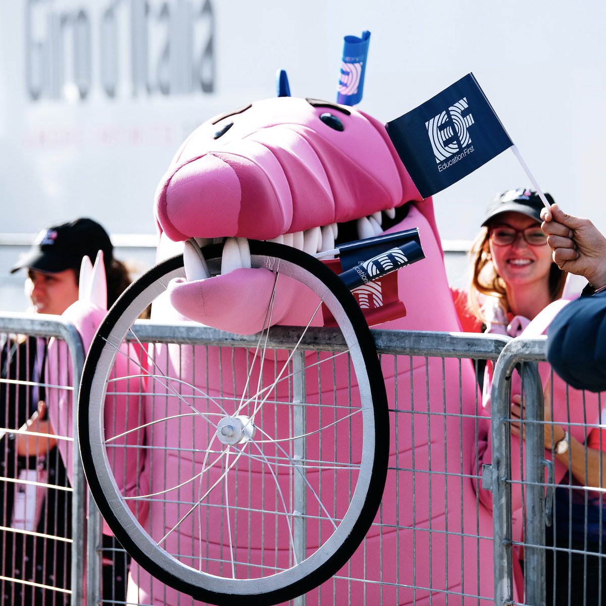 Our Guy Argyle the Crocodile (@argylethecroc) on Twitter photo Looking forward to following <a href="/EFprocycling/">EF Pro Cycling</a> through <a href="/LeTour/">Tour de Franceβ’</a> See you there! π΄
#exploretheworld
#ourguyargyle Looking forward to following <a href="/EFprocycling/">EF Pro Cycling</a> through <a href="/LeTour/">Tour de Franceβ’</a> See you there! π΄
#exploretheworld
#ourguyargyle