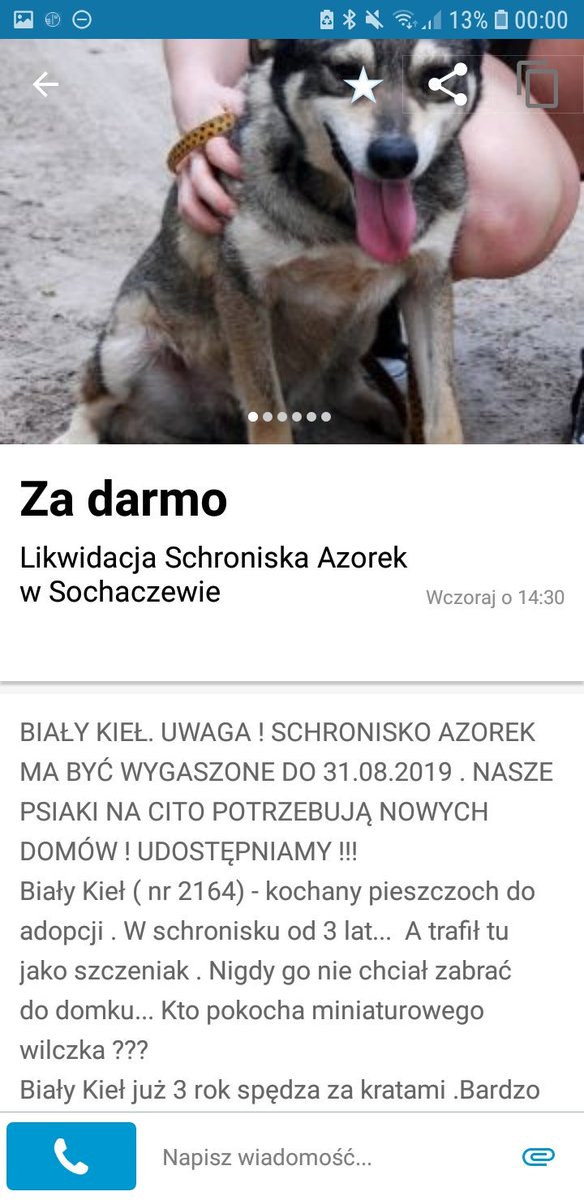 heffllorescence's tweet photo. Kochani, likwidują schronisko w Sochaczewie i pieski maja trafic to gorszego miejsca. Prosze o udostępnienie, moze ktorys znajdzie domek 🙏 #tweetme https://t.co/MyJtp3VUsG
