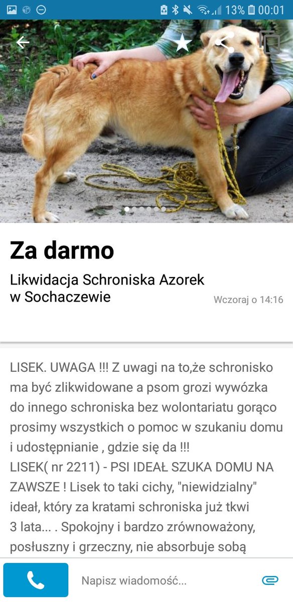 heffllorescence's tweet photo. Kochani, likwidują schronisko w Sochaczewie i pieski maja trafic to gorszego miejsca. Prosze o udostępnienie, moze ktorys znajdzie domek 🙏 #tweetme https://t.co/MyJtp3VUsG